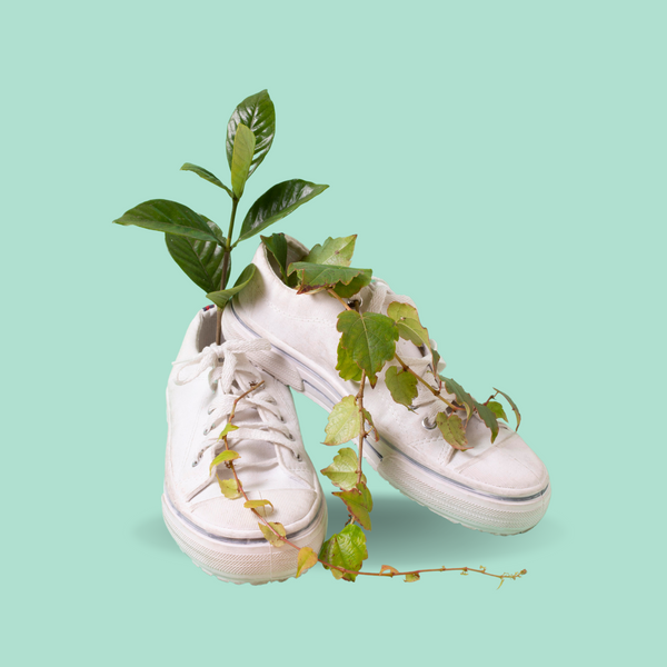 Pegada de Carbono: Dicas da Wewi para um dia a dia + verde.