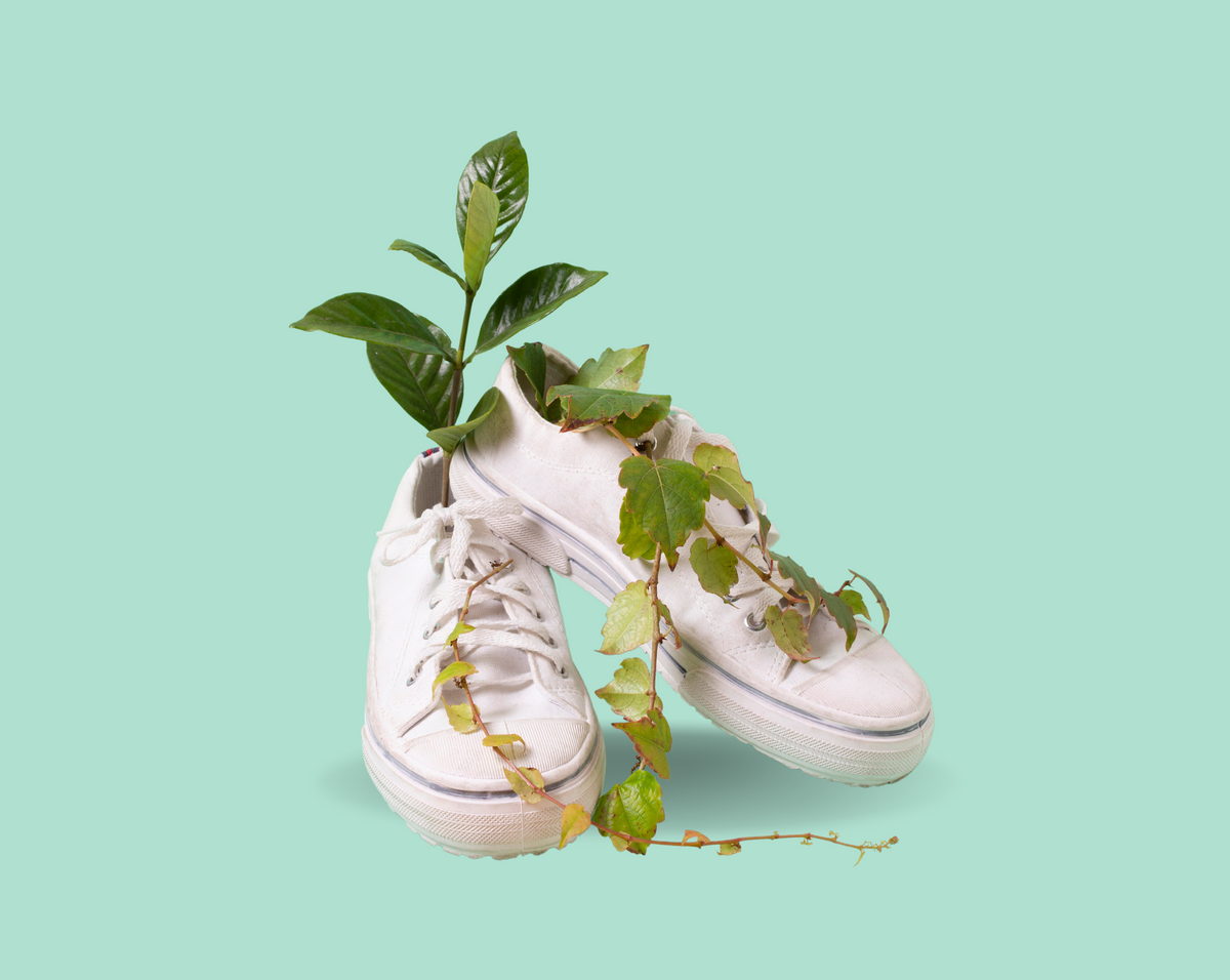 Pegada de Carbono: Dicas da Wewi para um dia a dia + verde.