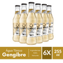 Wewi Organic Ginger Tonic Water 255ml Pack of 6 Units