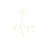 Orgânico